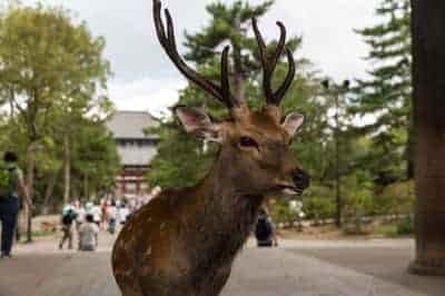 1544144851976002.jpg 1544144851976002.jpg