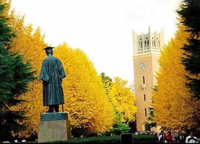 1592786775297531.jpg 1.jpg