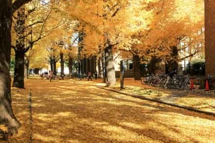 1598257361181152.jpg 15982542297028028.jpg