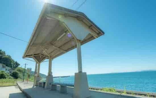 1601284423494192.jpg 1597886474(1).jpg