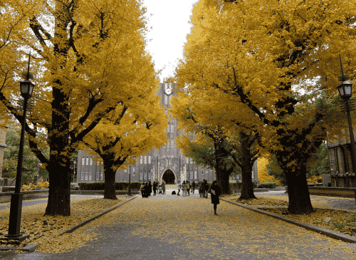 日本設立新簽證制度，留學生畢業后可以最長2年的創業準備時間。