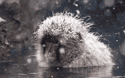 1644974499579270.png image.png