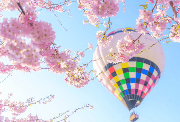 1648774567559955.png image.png