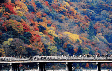 1672107428779040.png image.png